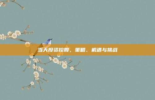 当天投资控股,策略、机遇与挑战