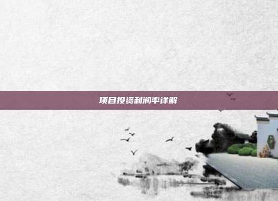 项目投资利润率详解