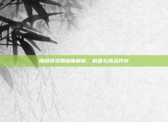 项目投资期深度解析,机遇与挑战并存