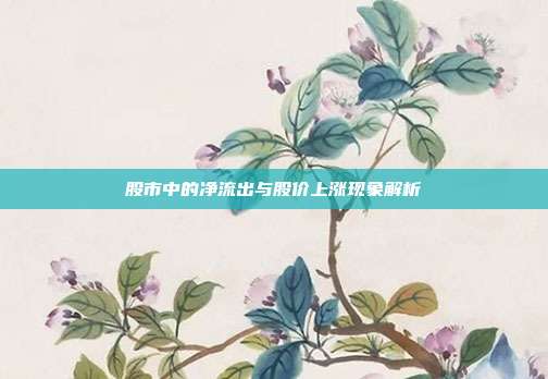 股市中的净流出与股价上涨现象解析