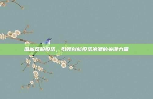 国新风险投资,引领创新投资浪潮的关键力量