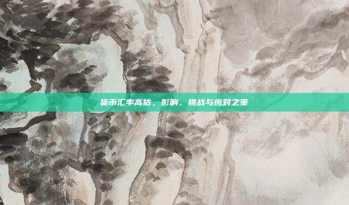货币汇率高估,影响、挑战与应对之策