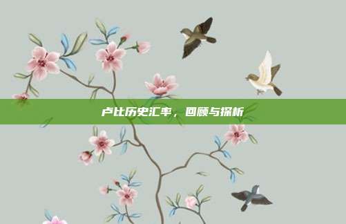 卢比历史汇率,回顾与探析