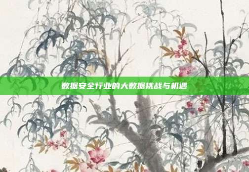 数据安全行业的大数据挑战与机遇