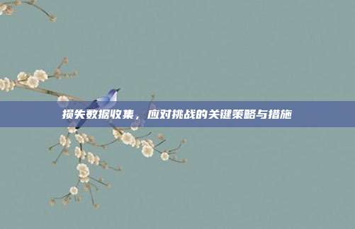 损失数据收集,应对挑战的关键策略与措施