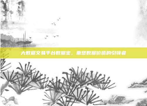 大数据交易平台数据宝,重塑数据价值的引领者
