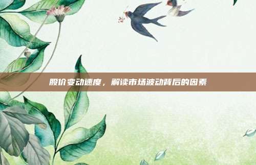 股价变动速度,解读市场波动背后的因素