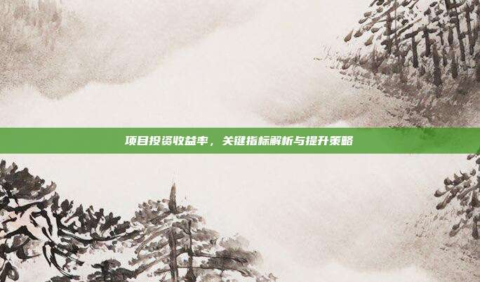 项目投资收益率，关键指标解析与提升策略