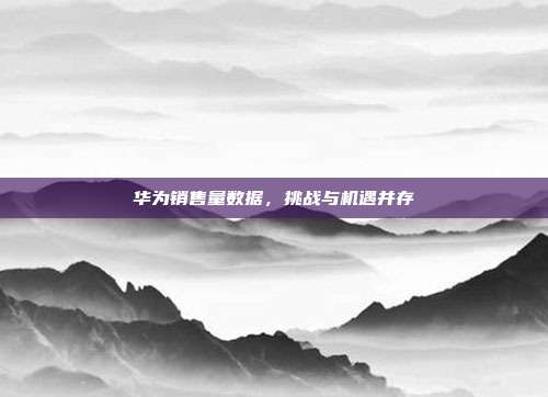 华为销售量数据,挑战与机遇并存