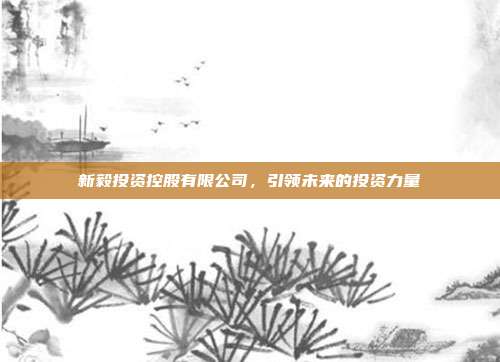 新毅投资控股有限公司，引领未来的投资力量