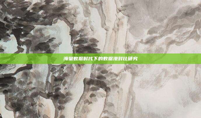 海量数据时代下的数据港对比研究