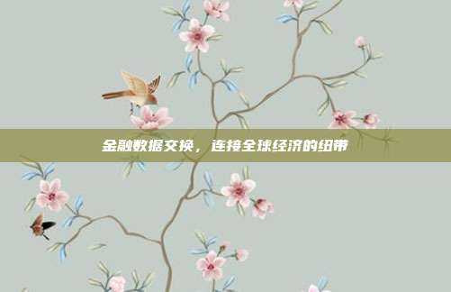 金融数据交换,连接全球经济的纽带