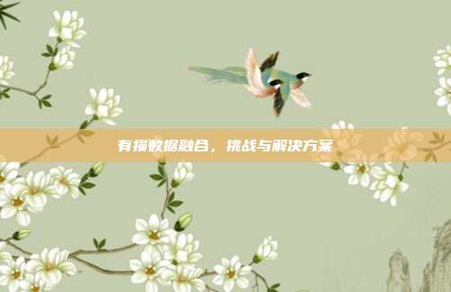 有损数据融合，挑战与解决方案