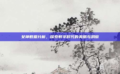女神数据分析，探索数字时代的美丽与洞察