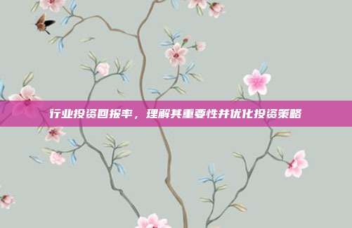 行业投资回报率,理解其重要性并优化投资策略