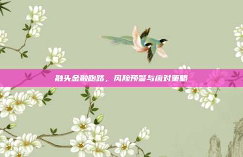 融头金融跑路,风险预警与应对策略