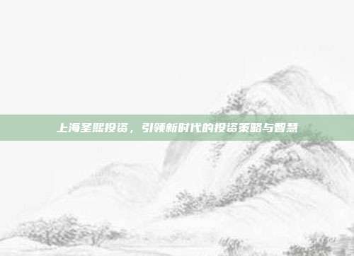 上海圣熙投资,引领新时代的投资策略与智慧