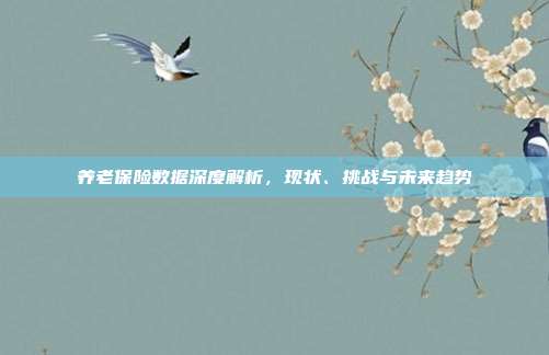 养老保险数据深度解析,现状、挑战与未来趋势
