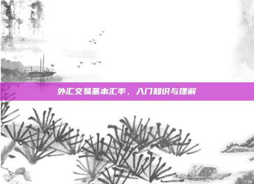 外汇交易基本汇率,入门知识与理解