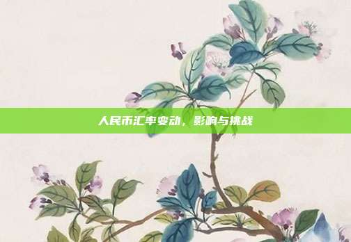 人民币汇率变动,影响与挑战