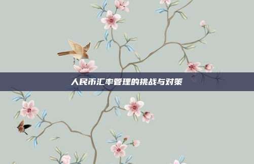 人民币汇率管理的挑战与对策
