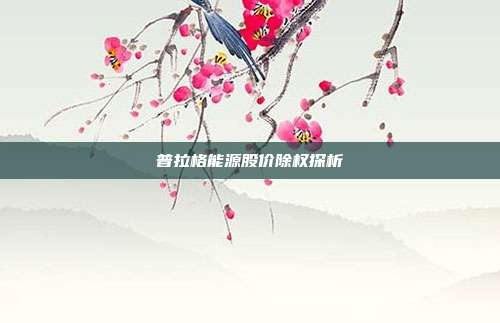 普拉格能源股价除权探析