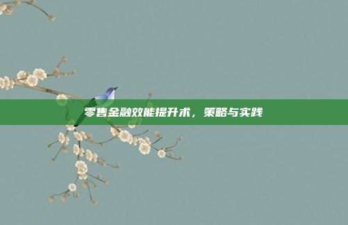 零售金融效能提升术,策略与实践