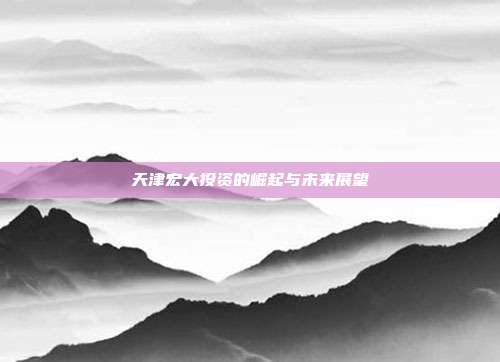 天津宏大投资的崛起与未来展望