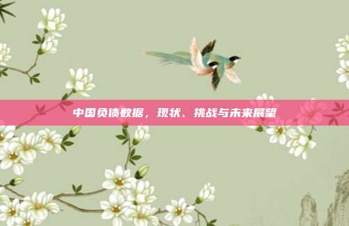 中国负债数据,现状、挑战与未来展望