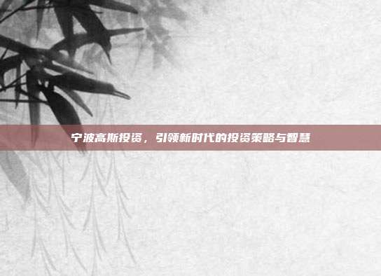 宁波高斯投资，引领新时代的投资策略与智慧