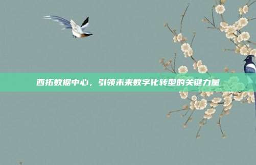 西拓数据中心,引领未来数字化转型的关键力量