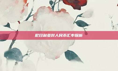 尼日利亚对人民币汇率探析