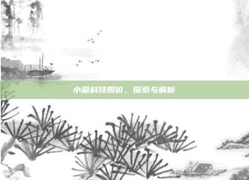 小赢科技股价，探索与解析