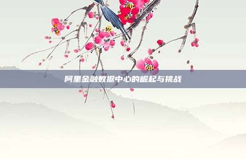 阿里金融数据中心的崛起与挑战