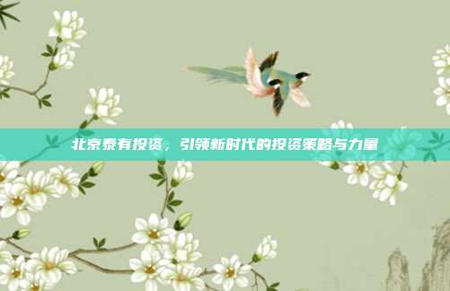 北京泰有投资，引领新时代的投资策略与力量