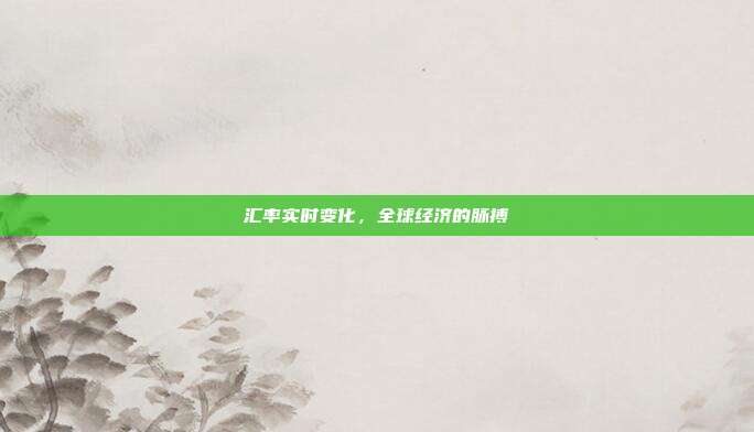 汇率实时变化,全球经济的脉搏