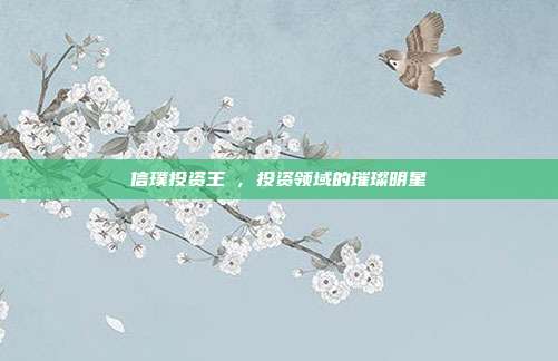 信璞投资王璟,投资领域的璀璨明星