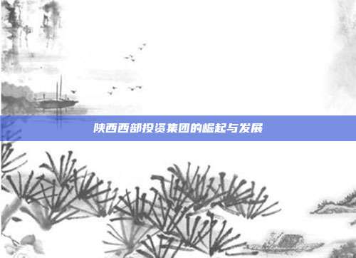 陕西西部投资集团的崛起与发展