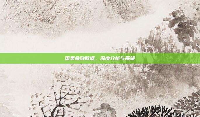国美金融数据,深度分析与展望