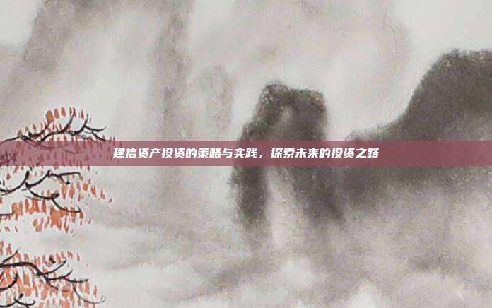 建信资产投资的策略与实践，探索未来的投资之路