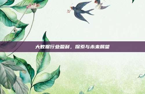大数据行业盈利,探索与未来展望
