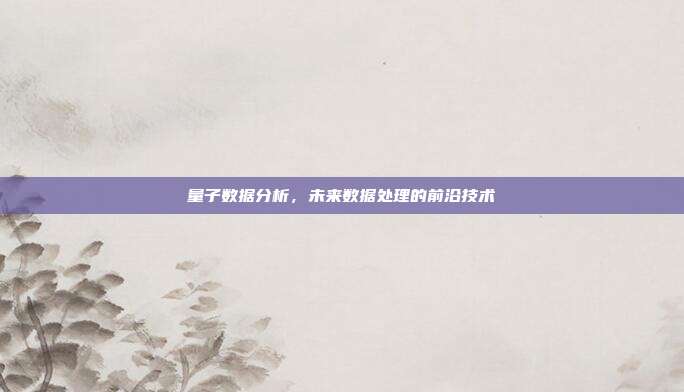 量子数据分析,未来数据处理的前沿技术