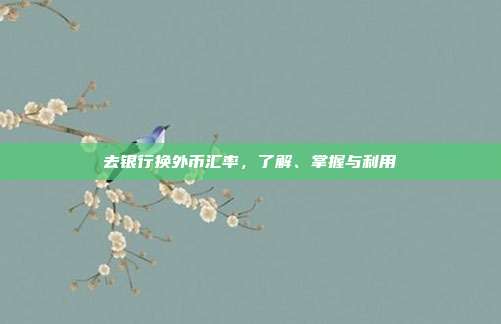 去银行换外币汇率,了解、掌握与利用