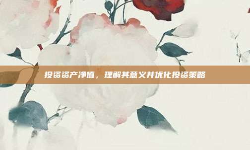 投资资产净值,理解其意义并优化投资策略