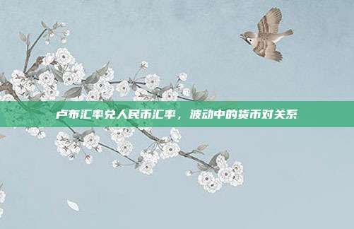 卢布汇率兑人民币汇率,波动中的货币对关系