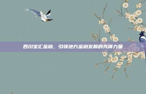 四川宝汇金融,引领地方金融发展的先锋力量