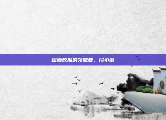 橙鑫数据的领航者，段小蕾