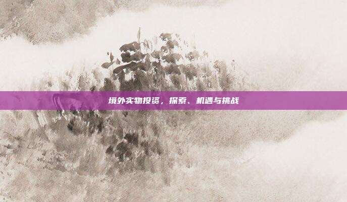 境外实物投资，探索、机遇与挑战