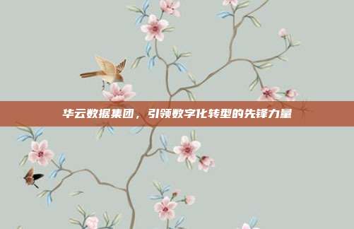 华云数据集团,引领数字化转型的先锋力量