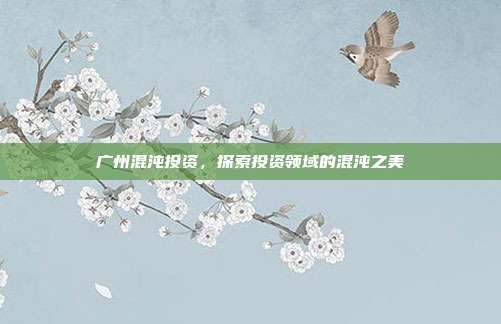 广州混沌投资,探索投资领域的混沌之美